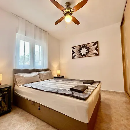 Hola 托雷维耶哈